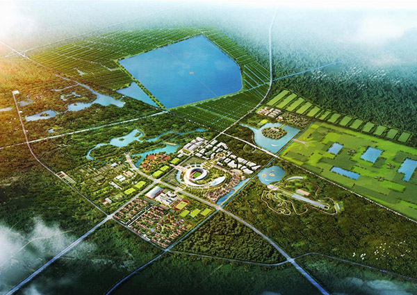 山东·滨州国际足球运动小镇概念规划方案