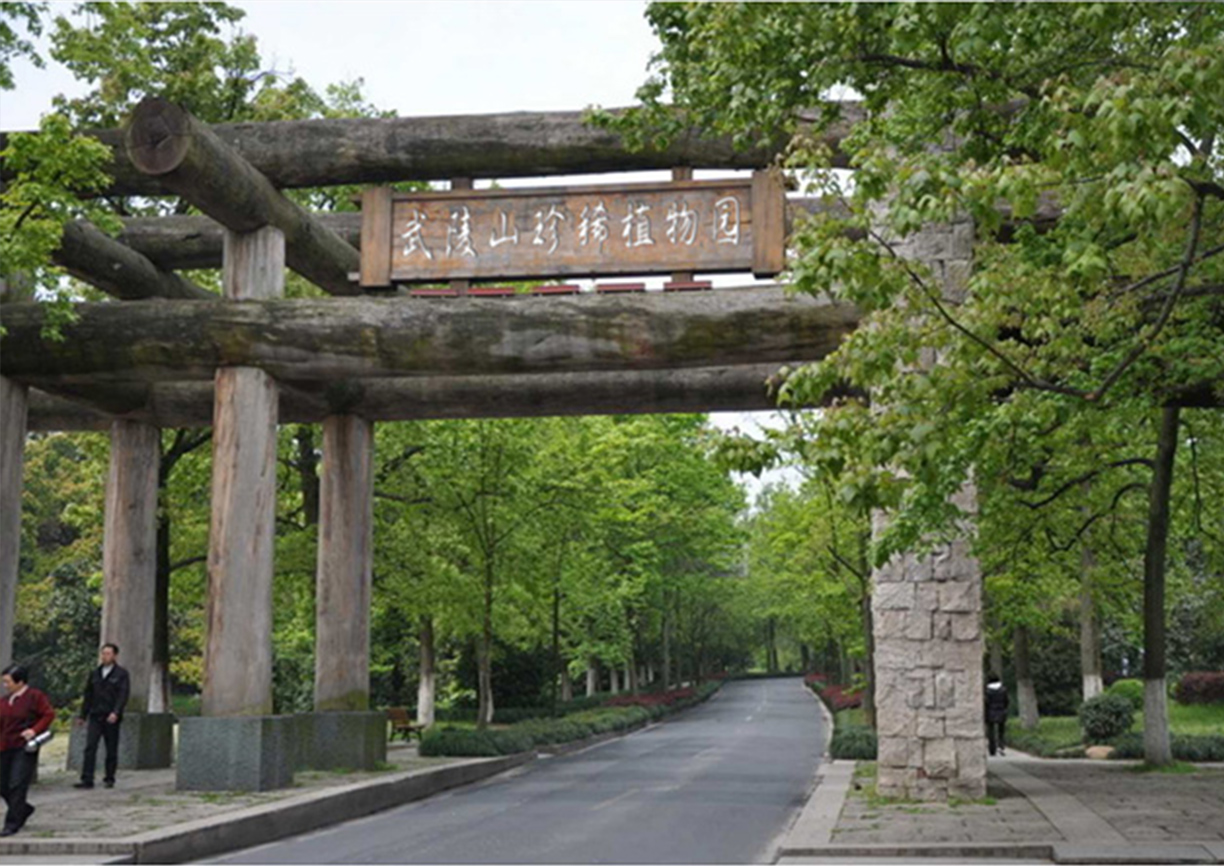 中国·鹤峰·武陵山珍稀植物园
